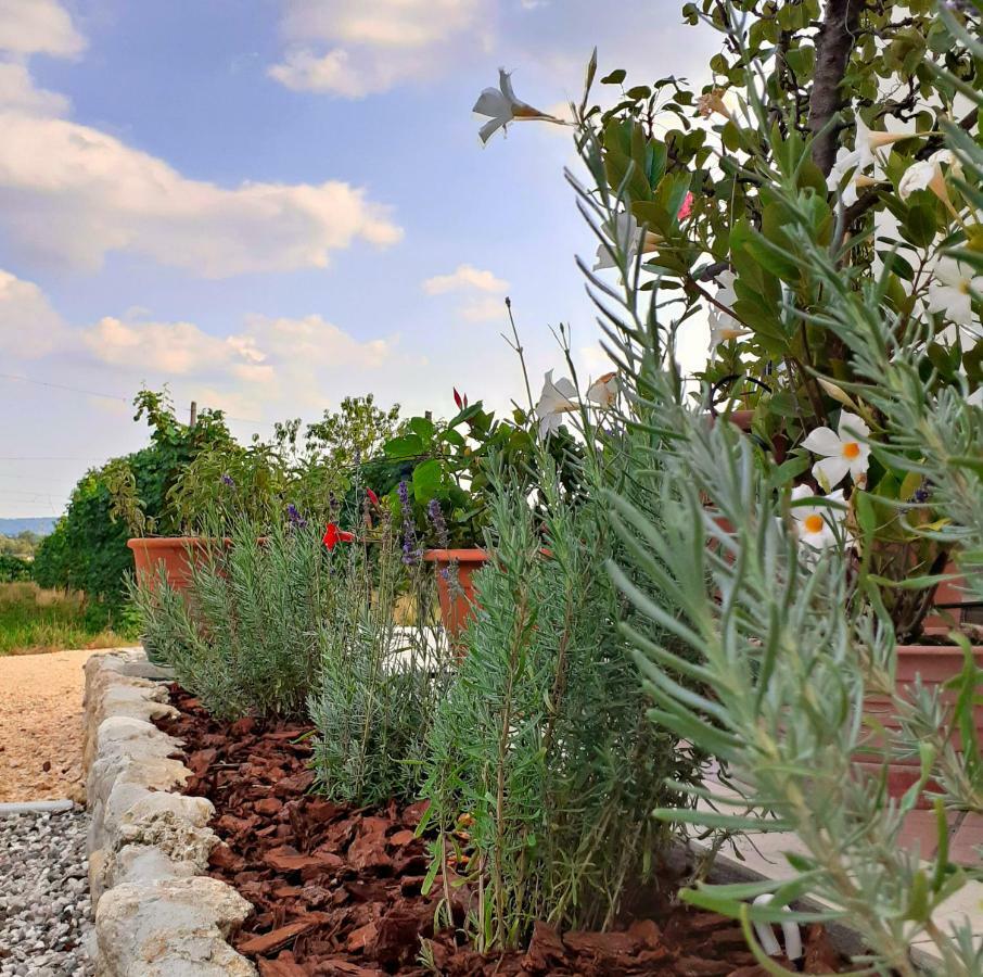 Le Vigne Di Annalisa Sweet Relax Rooms In Unesco Prosecco D.O.C.G. Farra di Soligo Екстер'єр фото